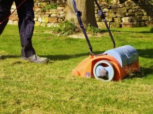 Rasen kalken Anleitung & Tipps Liebe Deinen Garten DE
